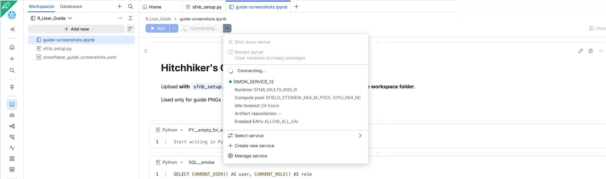 Workspace notebook Run button and Connecting status while the kernel starts